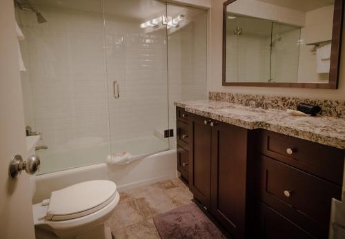 特柳赖德Deluxe Unit with Unbeatable Deck Views的浴室配有卫生间、盥洗盆和淋浴。