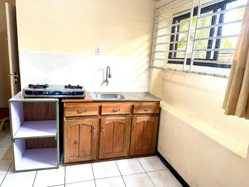 帕拉马里博Hotel Mangueira的一个带水槽和台面的小厨房