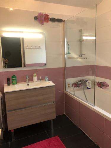 安格雷Chambre chez l’habitant的浴室配有盥洗盆和带镜子的淋浴