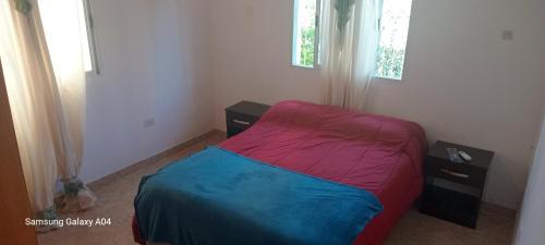 卡塔马卡Alquiler Temporario Catamarca的一间小卧室,配有床和2个床头柜