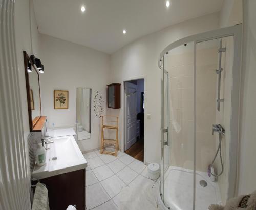 第戎巴斯德公寓的带淋浴和盥洗盆的浴室