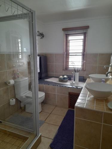 雅可布湾Tern Beach Studio的浴室配有卫生间、盥洗盆和淋浴。