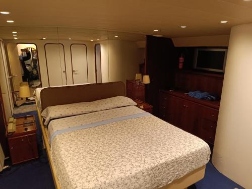巴塞罗那Amazing boat to sleep in Barcelona的一间卧室配有一张床和一台电视