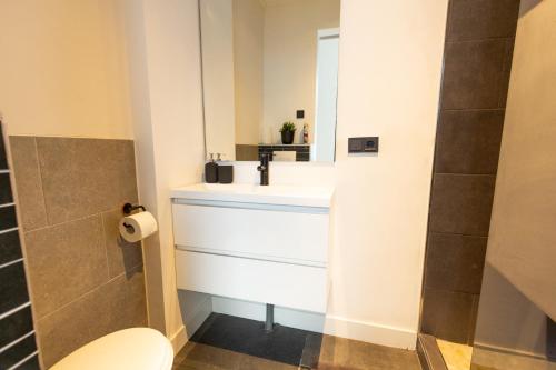 希佛萨姆Spacious private apartement, 25min from Amsterdam的一间带水槽和卫生间的浴室