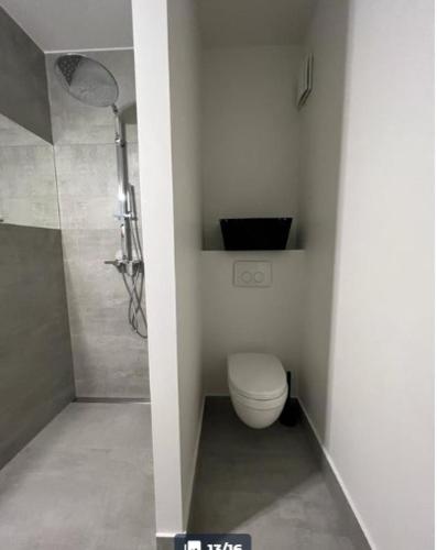 安特卫普Appartement Sportpaleis的白色的浴室设有卫生间和淋浴。