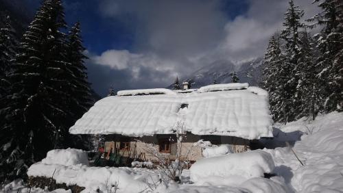 特伦塔Wild flower cottage in Trenta的一座被雪覆盖的房屋,里面种满了树木和山脉