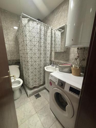 斯科普里Mia’s duplex apartment的一间带洗衣机和卫生间的浴室
