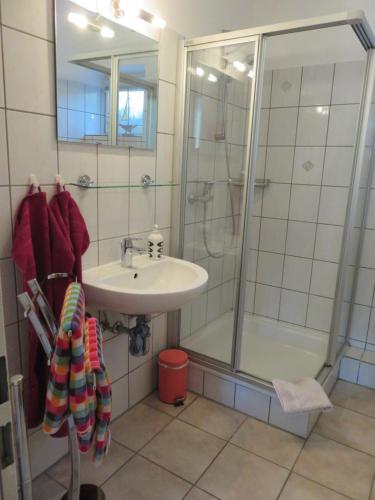 基尔Schönes Appartement in ruhiger Lage的带淋浴和盥洗盆的浴室