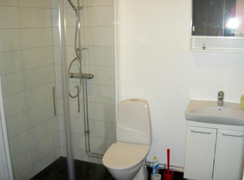 厄斯特松德艾维斯斯图加山林小屋的带淋浴、卫生间和盥洗盆的浴室