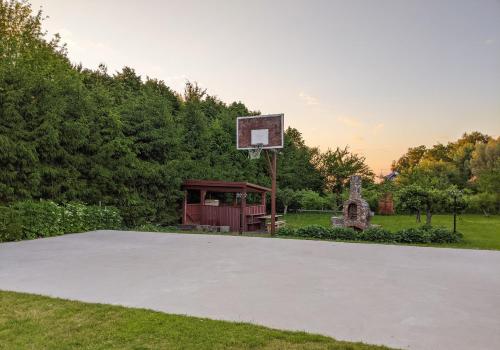 MingėJono Bulavino sodyba的公园内一个带篮球架的篮球场