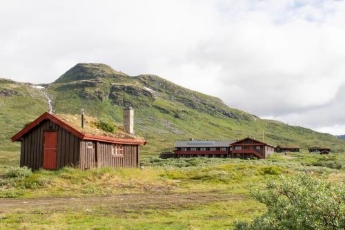 EidsbugardenTyinholmen Høyfjellsstuer的山旁两座田野的建筑