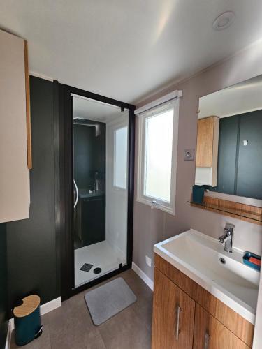 圣让-德蒙Jolie Mobil home 2 chambres (198)的带淋浴和白色盥洗盆的浴室