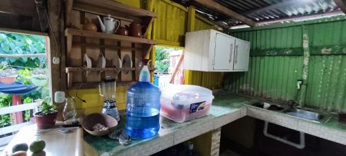 HigueyLa Loma Camping的厨房柜台,上面装有一瓶水