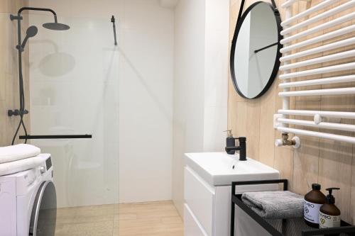 格利维采Apartament Sikornik的一间带水槽和镜子的浴室