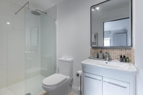 巴斯Silcox House Bath的一间带卫生间、水槽和镜子的浴室