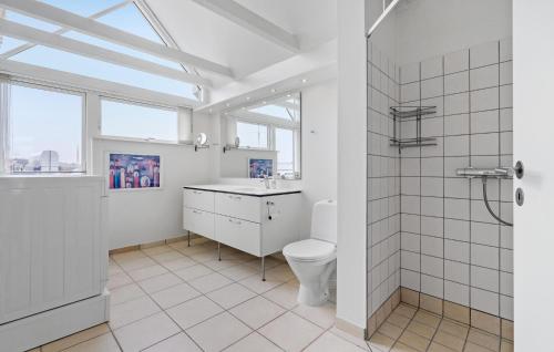 阿森斯乃斯维XI度假屋的浴室配有卫生间、盥洗盆和淋浴。