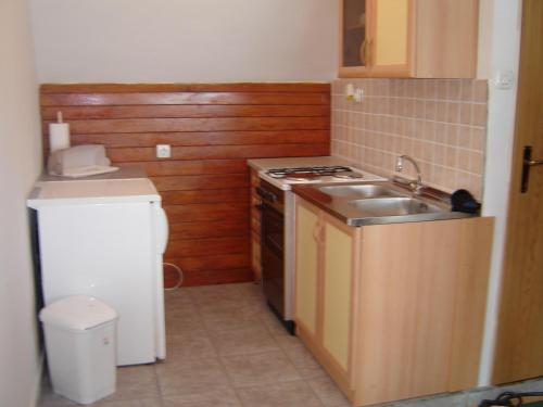 科尔尼鲁格Apartment Park Crni Lug的一间带水槽和炉灶的小厨房