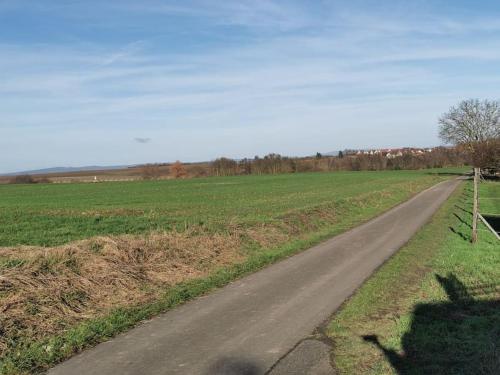 Ober-HilbersheimFerienwohnung in der Natur的田间中土路