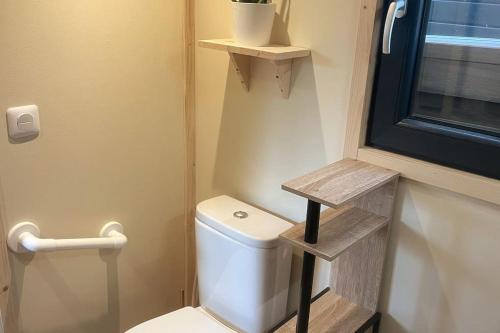圣奥梅尔Tiny house au cœur du marais的一间带卫生间和木架的小浴室