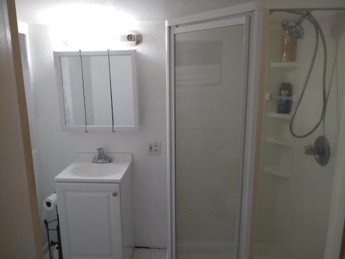 克利尔沃特Lenny's Cooperative Hostel的白色的浴室设有水槽和淋浴。