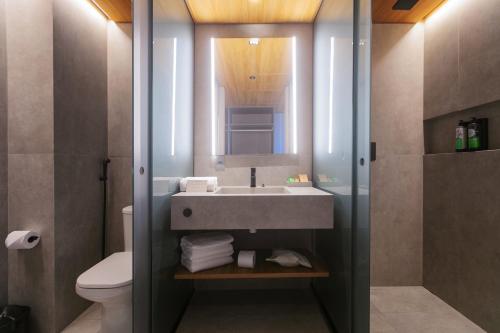 拉巴拉德纳圣米格尔Ritz Barra de São Miguel的一间带水槽、卫生间和镜子的浴室