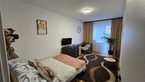 凯尔采Duże pokoje w nowoczesnym stylu的一间卧室配有一张床、一张书桌和一台电视