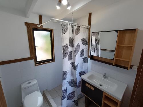 富特罗诺Refugio las Quemas的一间带卫生间、水槽和镜子的浴室