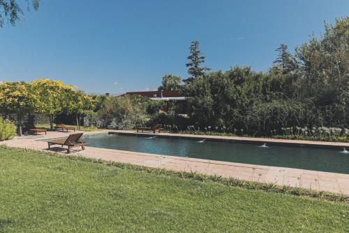 卢汉德库约Enlace Casa de Huespedes的公园内一个带鸭子的游泳池