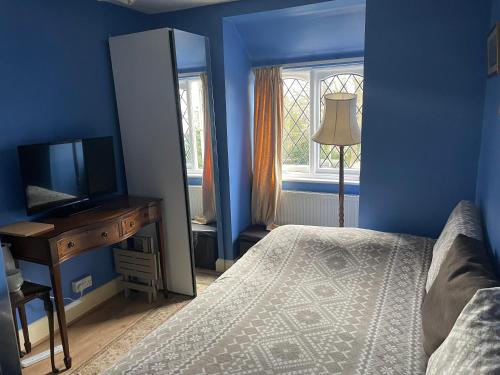 圣伦纳兹Livadia House at St Leonards on Sea的一间蓝色卧室,配有一张床、梳妆台和电视