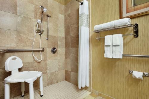芬德利芬德雷希尔顿恒庭酒店的带淋浴、卫生间和盥洗盆的浴室
