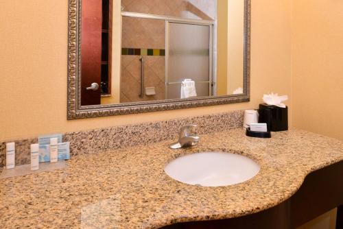 格林维尔格林维尔希尔顿恒庭旅馆&套房酒店的浴室的柜台设有水槽和镜子