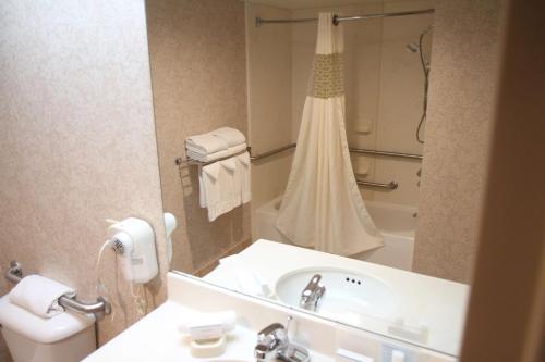 格林维尔格林维尔汉普顿酒店的一间带水槽、卫生间和镜子的浴室