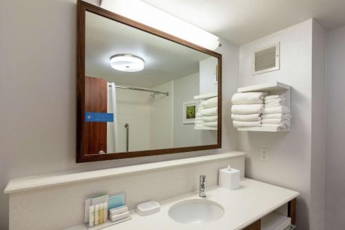 亨博尔汉普顿酒店休斯顿／安布勒 - 机场地区的一间带水槽和大镜子的浴室