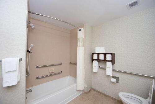 Yazoo City亚祖城汉普顿酒店的带浴缸和卫生间的浴室。