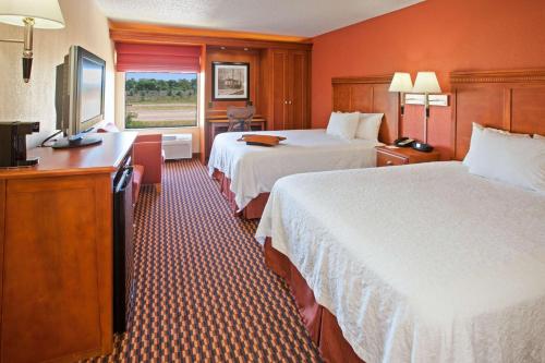 乔利埃特乔利埃特/I-80希尔顿恒庭酒店的酒店客房设有两张床和窗户。