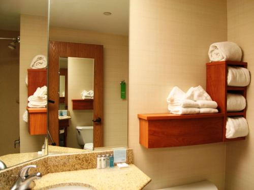 乔利埃特乔利埃特/I-80希尔顿恒庭酒店的一间带水槽和镜子的酒店浴室