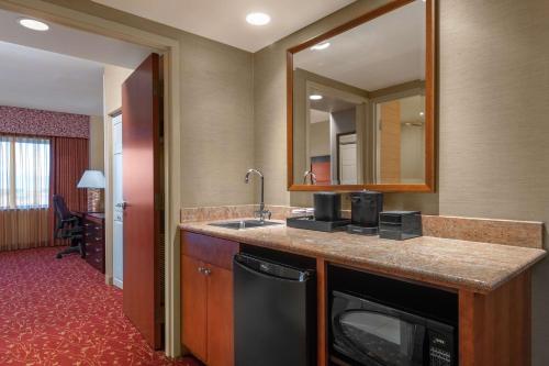 拉夫兰Embassy Suites by Hilton Loveland Conference Center的一间带水槽和镜子的酒店浴室