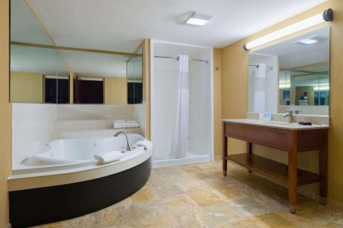 卡莱尔卡莱尔汉普顿酒店的带浴缸和盥洗盆的大浴室