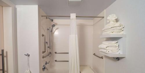 黑兹尔顿黑泽尔顿希尔顿恒庭酒店的带淋浴和一些毛巾的浴室