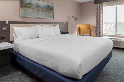 Sunnybrook AcresHilton Garden Inn By Hilton Fort Wayne North的酒店客房带一张大床和一把椅子