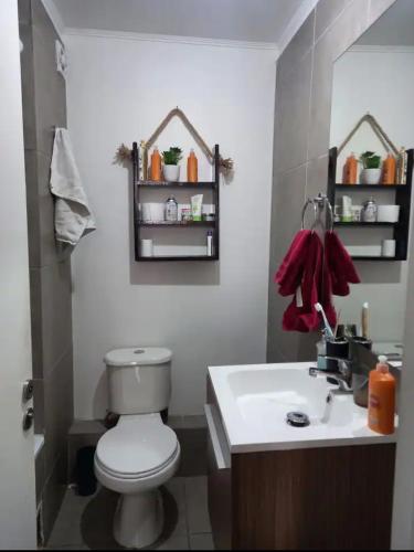 阿里卡Departamento por días的浴室配有白色卫生间和盥洗盆。