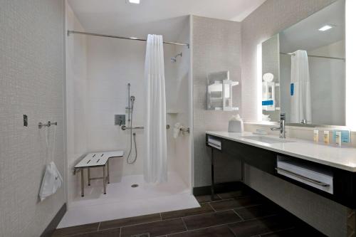 休斯顿Hampton Inn & Suites Houston East Beltway 8, Tx的带淋浴和盥洗盆的浴室