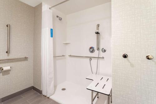 阿拉楚阿Hampton Inn & Suites Alachua I-75, FL的带淋浴和盥洗盆的浴室