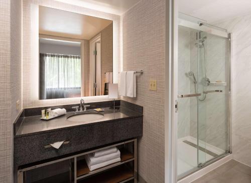 费尔法克斯Hilton Fairfax, Va的一间带水槽和淋浴的浴室