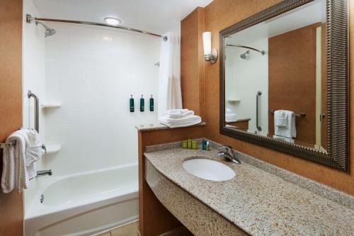 弗兰特罗亚尔弗朗特皇家蓝岭沙道斯快捷假日&套房酒店的一间带水槽、浴缸和镜子的浴室