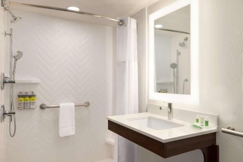 沃思堡Doubletree By Hilton Fort Worth South的一间带水槽和镜子的浴室