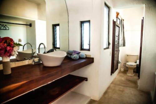 兹波利特Villas Mykonos的一间带大水槽和卫生间的浴室
