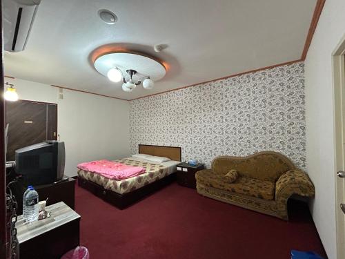 Chien-shan林中林民宿的一间卧室配有一张床、一张沙发和一台电视。