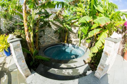 Turtle CoveKokomo Botanical Resort - Caribbean Family Cottages的花园内的热水浴池
