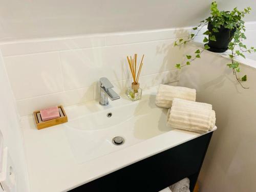 翁弗勒尔NATURAL COSY的白色浴室水槽、毛巾和植物